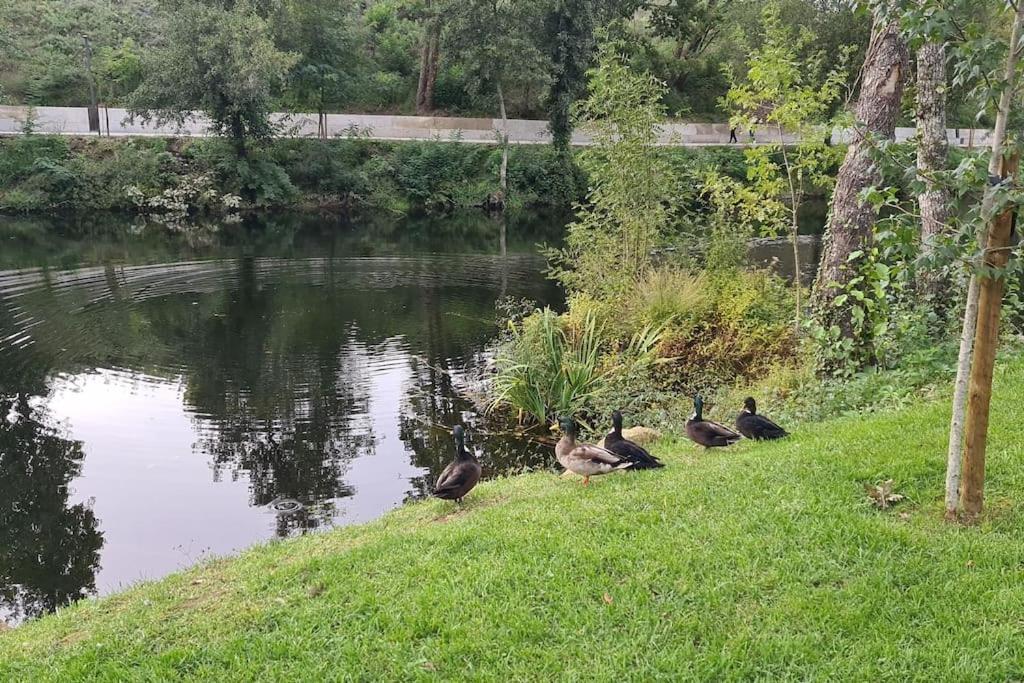 Nature E Spa Al - Termas Saude E Beleza, Totalmente Renovado - Piscinas Municipais Em Frente - Epoca Julho A Setembro São Pedro do Sul Exteriér fotografie