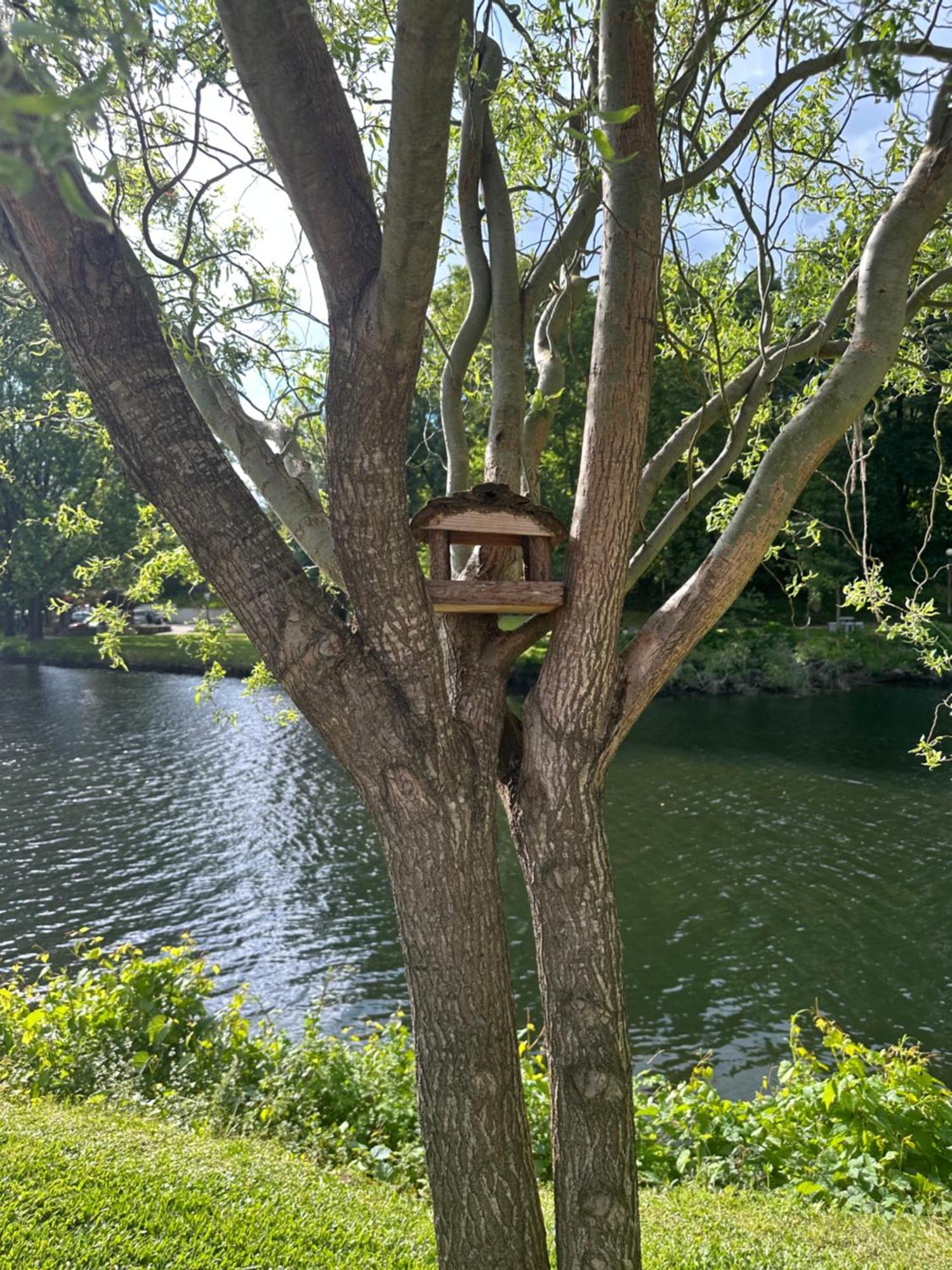 Nature E Spa Al - Termas Saude E Beleza, Totalmente Renovado - Piscinas Municipais Em Frente - Epoca Julho A Setembro São Pedro do Sul Exteriér fotografie